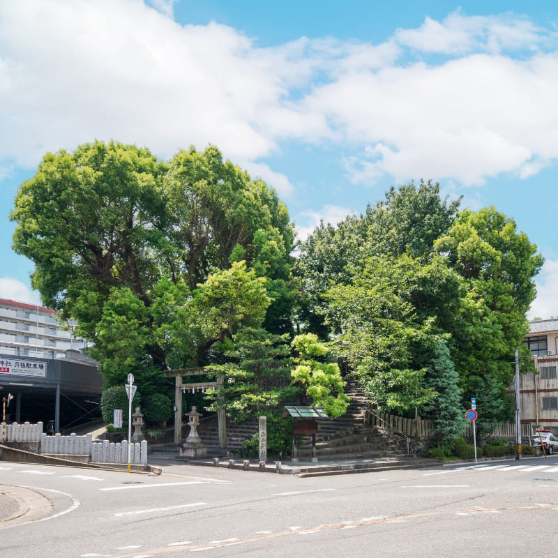 白山神社古墳の写真