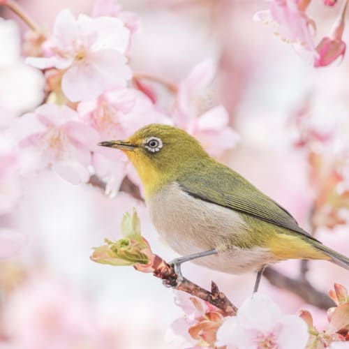 春分の日