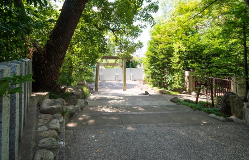 南参道の写真